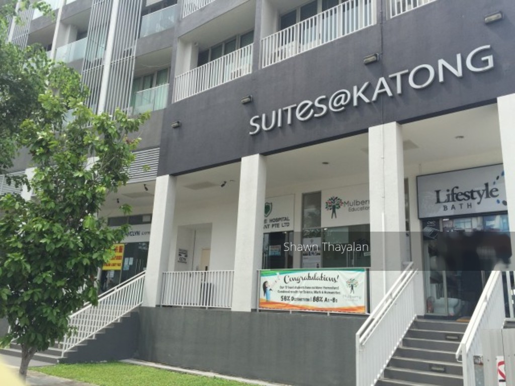 SUITES@ KATONG (D15), Shop House #123290042